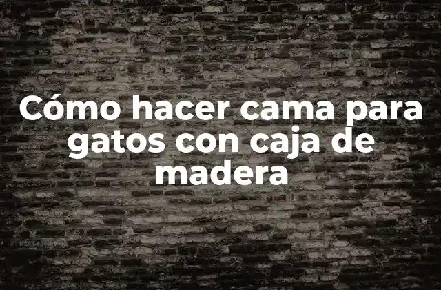 Cómo Hacer Cama para Gatos con Caja de Madera
