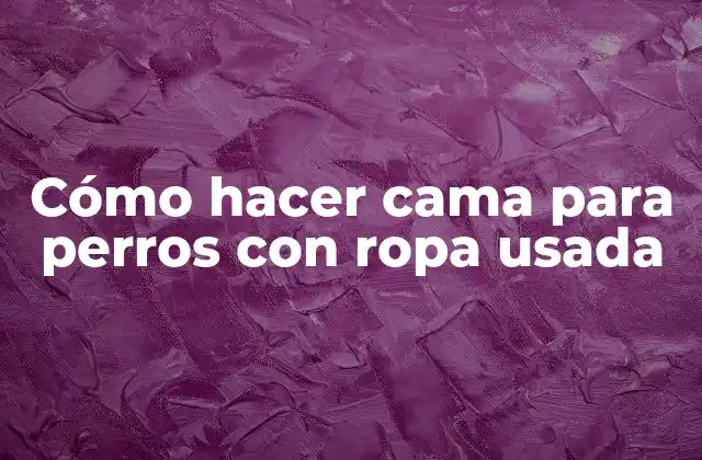 Cómo Hacer Cama para Perros con Ropa Usada