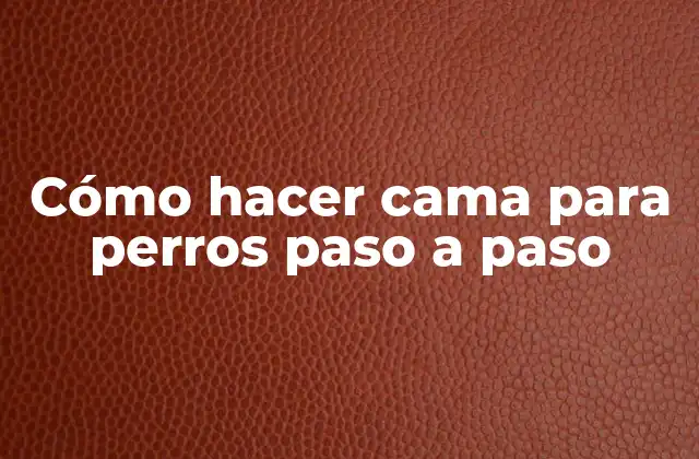 Cómo Hacer Cama para Perros Paso a Paso