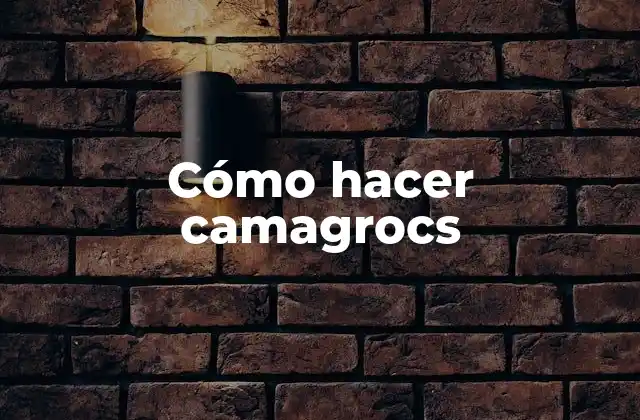 Cómo Hacer Camagrocs