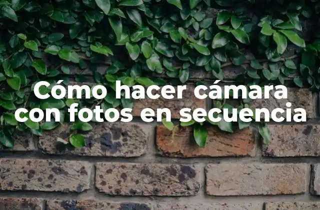 Cómo Hacer Cámara con Fotos en Secuencia