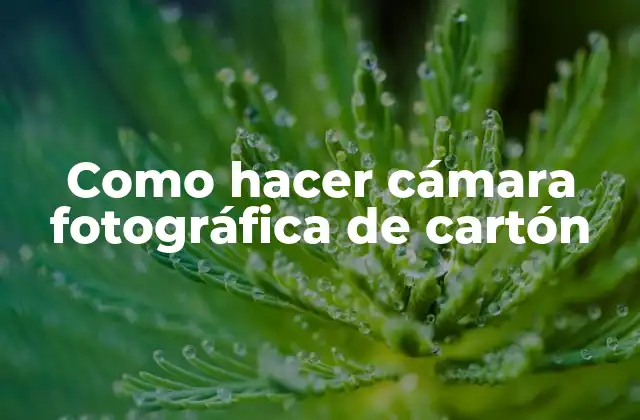 Como Hacer Cámara Fotográfica de Cartón