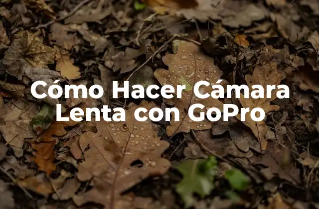 Cómo Hacer Cámara Lenta con Gopro