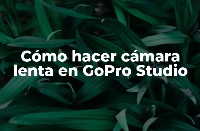 Cómo Hacer Cámara Lenta en Gopro Studio