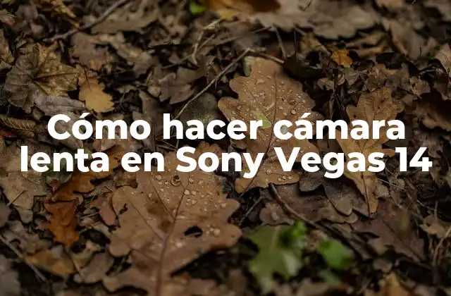 Cómo Hacer Cámara Lenta en Sony Vegas 14