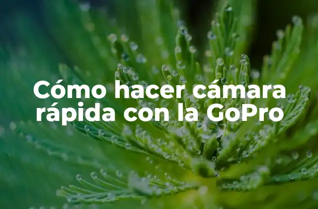 Cómo Hacer Cámara Rápida con la Gopro