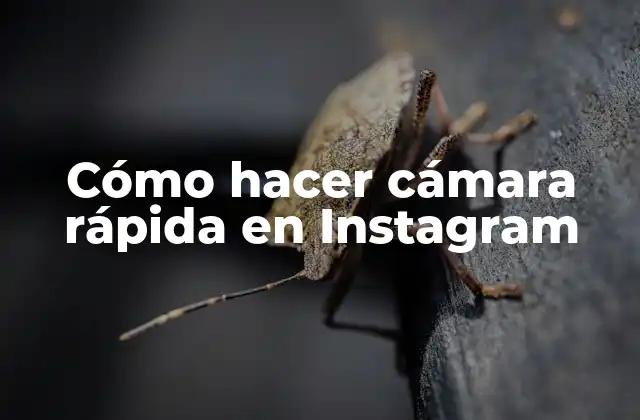 Cómo Hacer Cámara Rápida en Instagram 2 Cómo hacer cámara rápida en Instagram