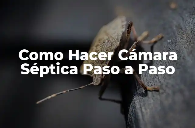 Como Hacer Cámara Séptica Paso a Paso