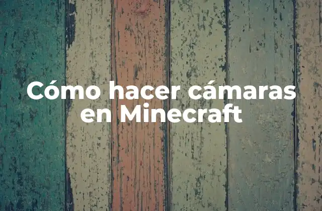 Cómo Hacer Cámaras en Minecraft
