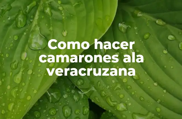 Como Hacer Camarones Ala Veracruzana