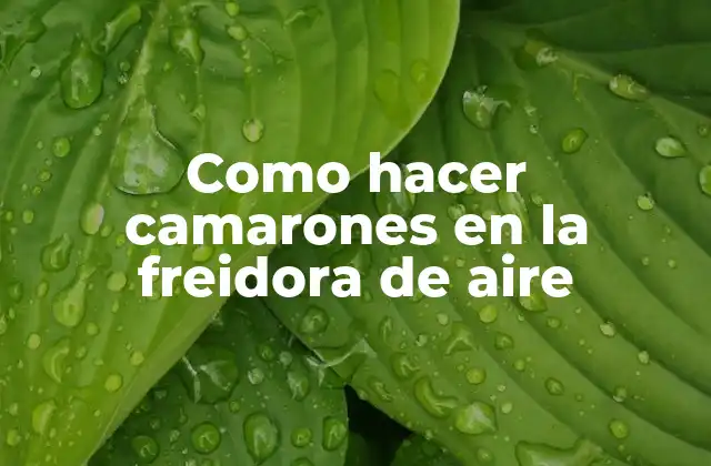 Como Hacer Camarones en la Freidora de Aire