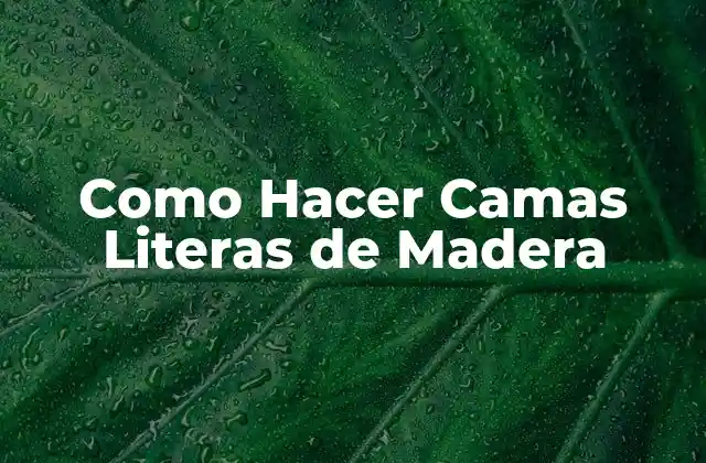 Como Hacer Camas Literas de Madera