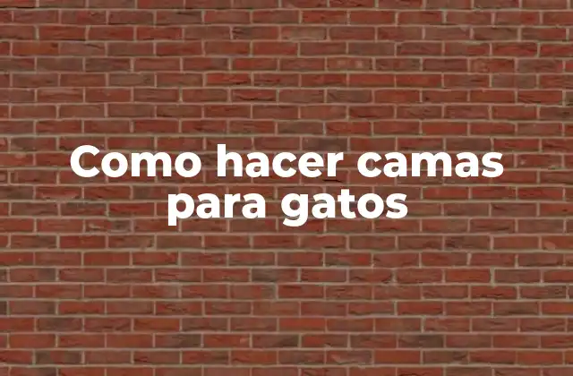 Como Hacer Camas para Gatos