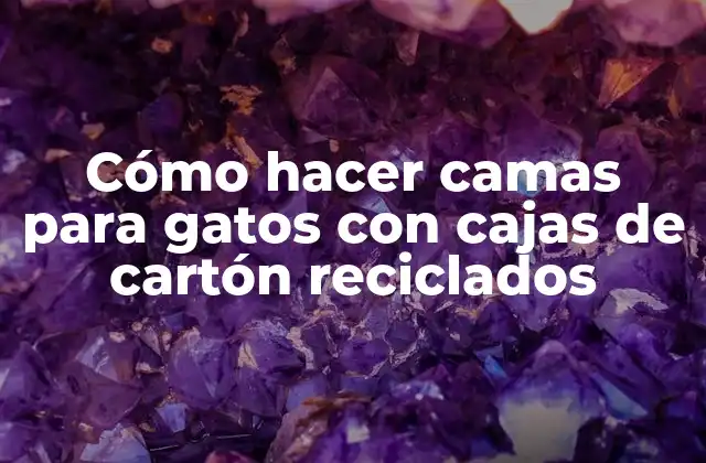 Cómo Hacer Camas para Gatos con Cajas de Cartón Reciclados