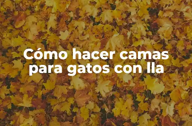 Cómo Hacer Camas para Gatos con Lla