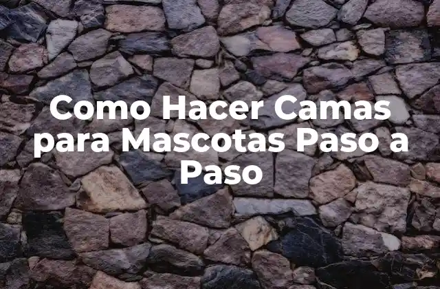 Como Hacer Camas para Mascotas Paso a Paso 2 ¿Qué es una Cama para Mascotas y para Qué Sirve?