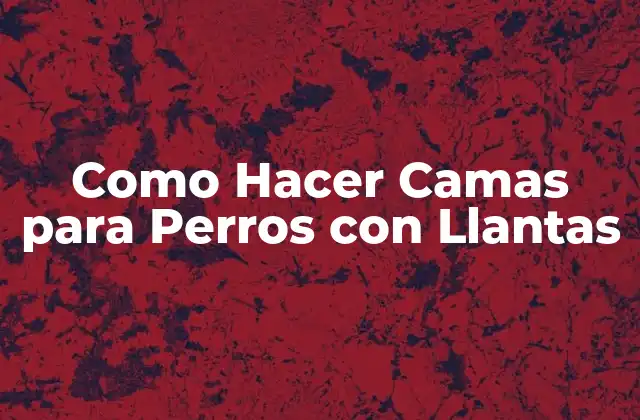 Como Hacer Camas para Perros con Llantas