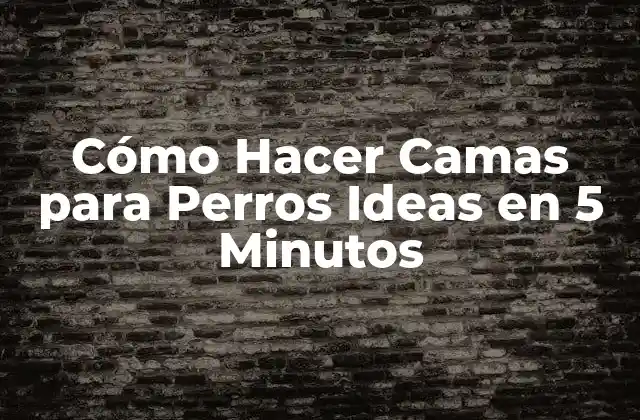Cómo Hacer Camas para Perros Ideas en 5 Minutos