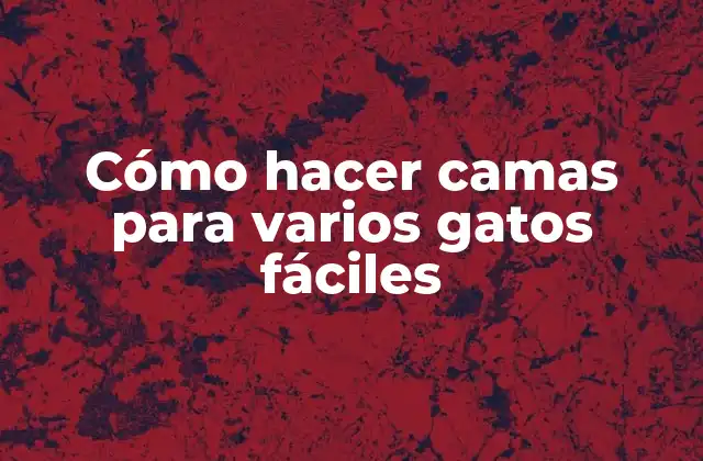 Cómo Hacer Camas para Varios Gatos Fáciles 2 Cómo hacer camas para varios gatos fáciles