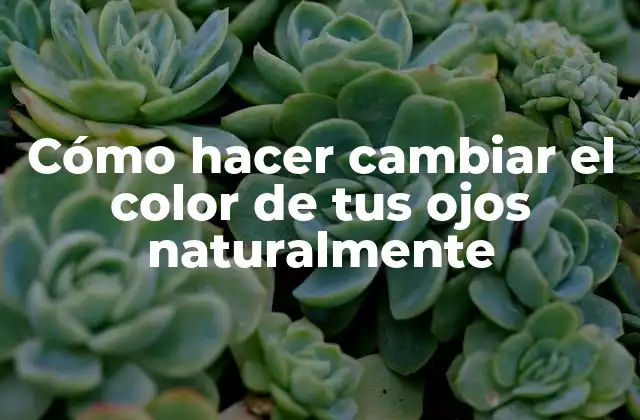 Cómo Hacer Cambiar el Color de Tus Ojos Naturalmente