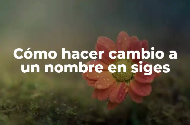 Cómo Hacer Cambio a un Nombre en Siges