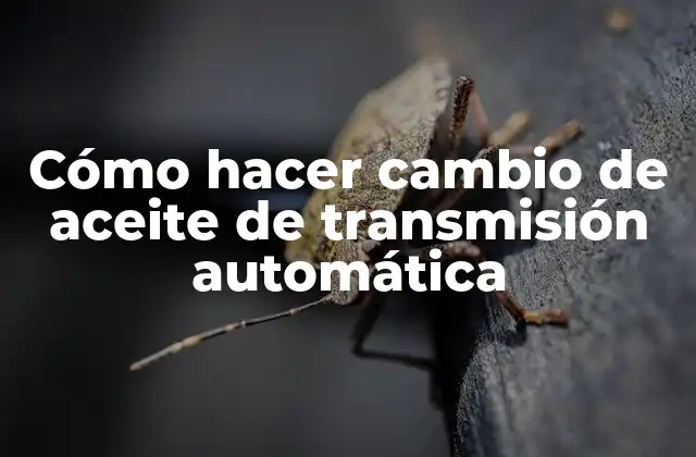 Cómo Hacer Cambio de Aceite de Transmisión Automática