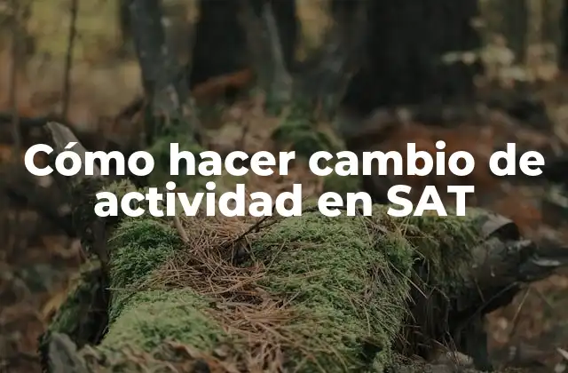 Cómo Hacer Cambio de Actividad en Sat