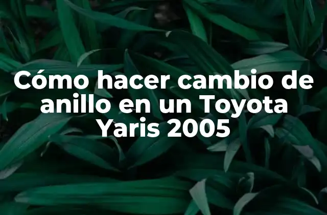Cómo Hacer Cambio de Anillo en un Toyota Yaris 2005