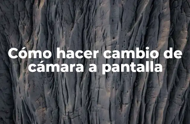 Cómo Hacer Cambio de Cámara a Pantalla