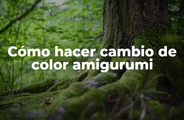 Cómo Hacer Cambio de Color Amigurumi