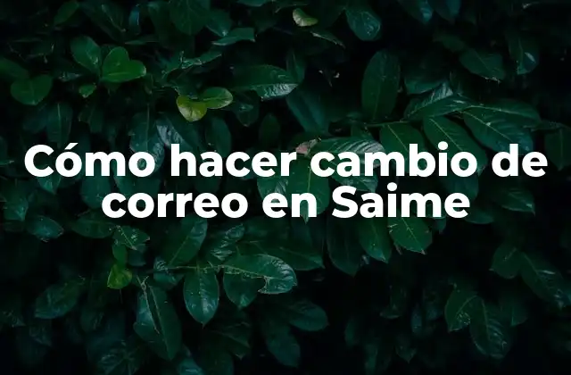 Cómo Hacer Cambio de Correo en Saime