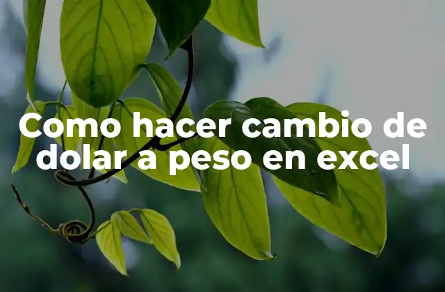 Como Hacer Cambio de Dolar a Peso en Excel