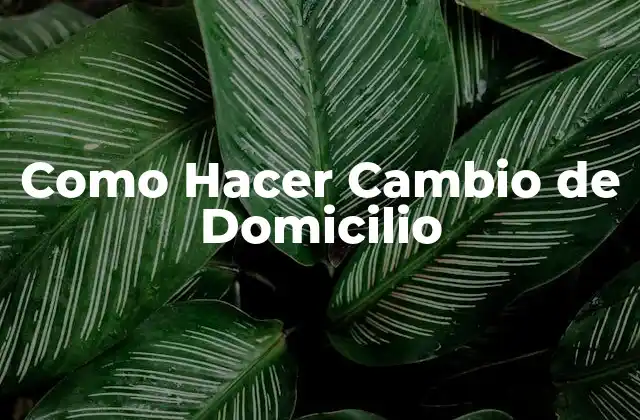 ¿Qué es un Cambio de Domicilio y Para Qué Sirve?