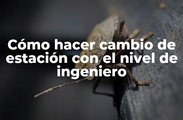 Cómo Hacer Cambio de Estación con el Nivel de Ingeniero