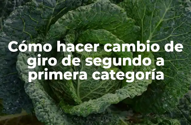 Cómo Hacer Cambio de Giro de Segundo a Primera Categoría