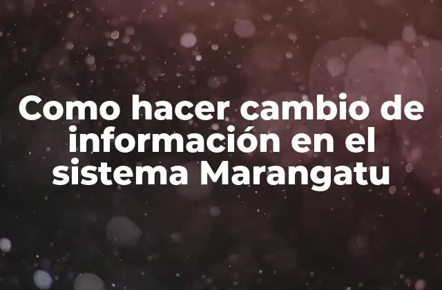 Como Hacer Cambio de Información en el Sistema Marangatu