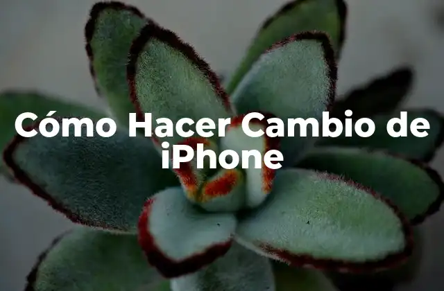 Cómo Hacer Cambio de Iphone