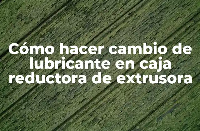 Cómo Hacer Cambio de Lubricante en Caja Reductora de Extrusora