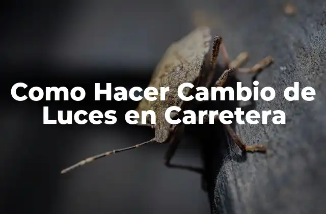 Como Hacer Cambio de Luces en Carretera