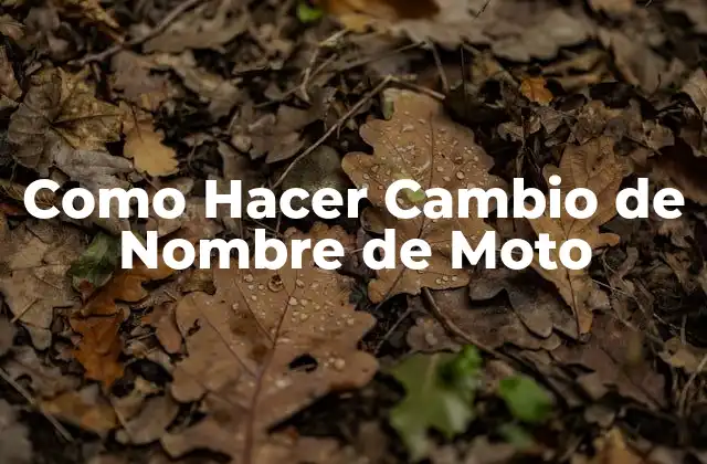 Como Hacer Cambio de Nombre de Moto