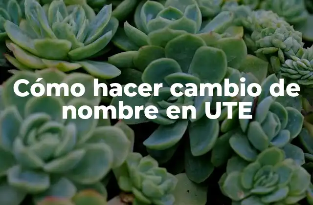 Cómo Hacer Cambio de Nombre en Ute