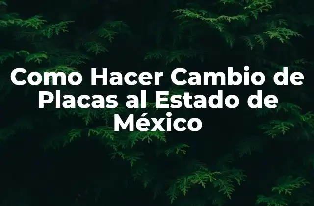 Como Hacer Cambio de Placas Al Estado de México