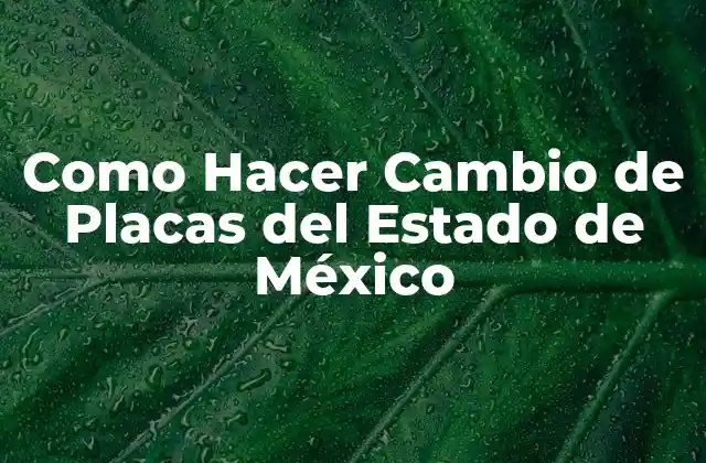 Como Hacer Cambio de Placas Del Estado de México