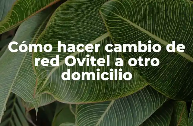 Cómo Hacer Cambio de Red Ovitel a Otro Domicilio
