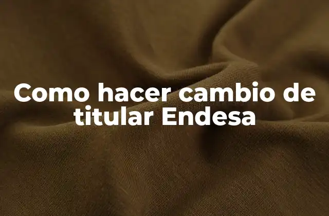 Como Hacer Cambio de Titular Endesa