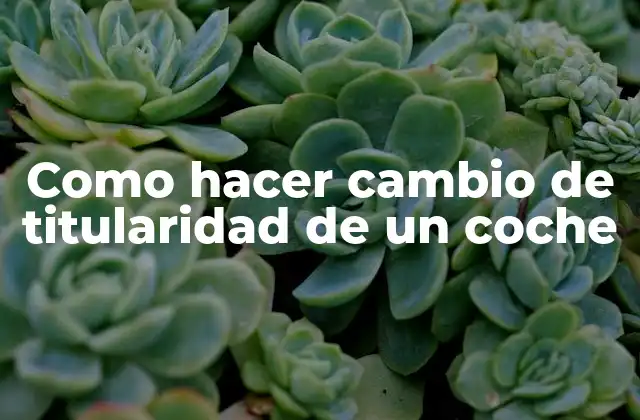 Como Hacer Cambio de Titularidad de un Coche