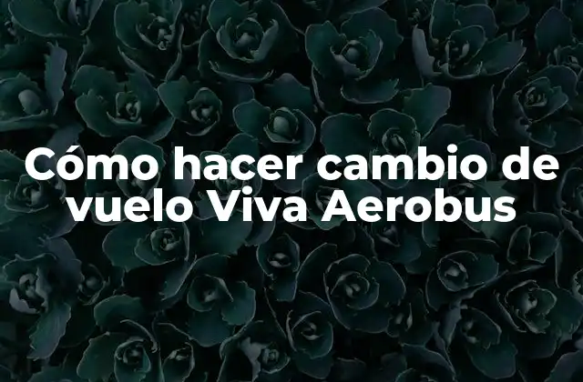 Cómo Hacer Cambio de Vuelo Viva Aerobus