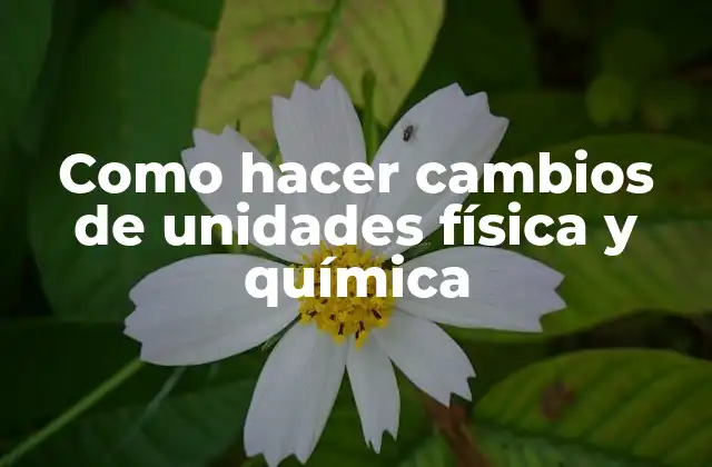 Como Hacer Cambios de Unidades Física y Química