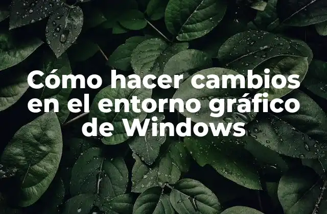 Cómo Hacer Cambios en el Entorno Gráfico de Windows