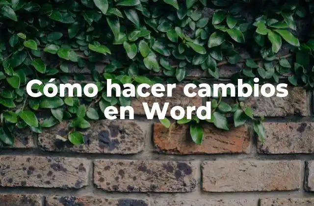 Cómo Hacer Cambios en Word